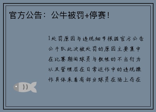 官方公告：公牛被罚+停赛！